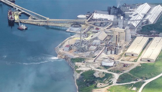 Bagfaş Sülfirik asit Tesisi / Mastır Enerji – 2022